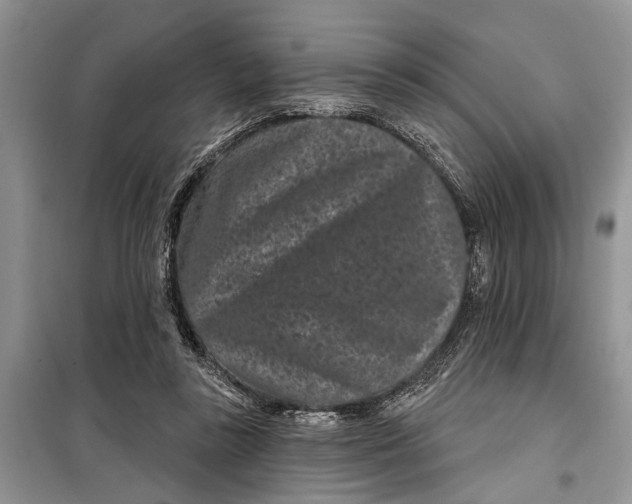 X0000097950355200804071011