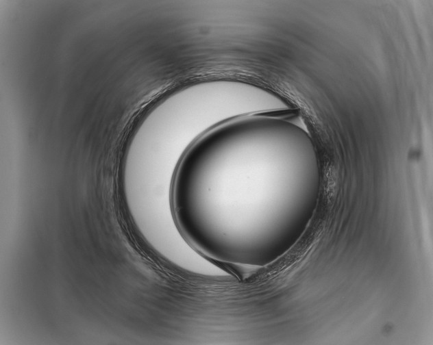 X0000097950356200804071011