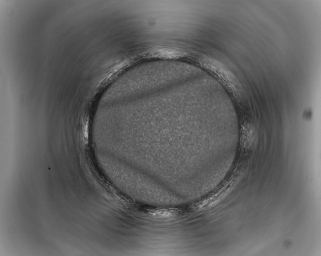 X0000097950358200804071011