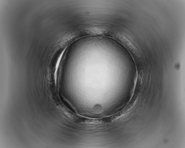 X0000097950359200804071011