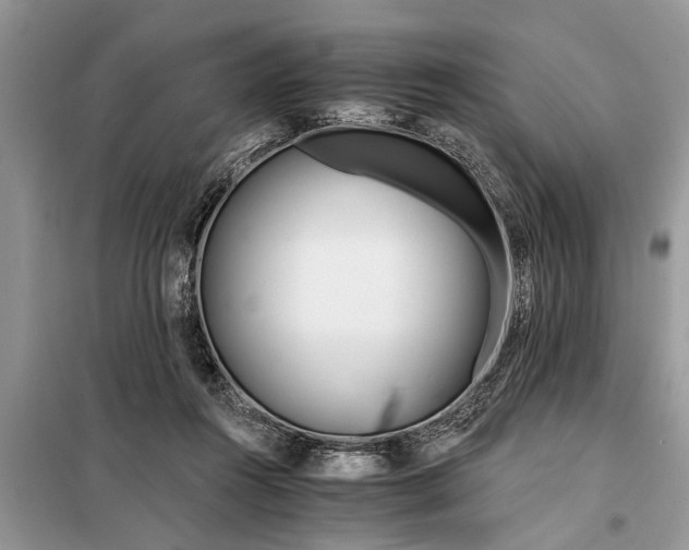 X0000097950360200804071011