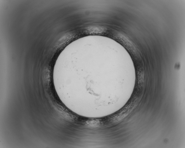 X0000097950362200804071011