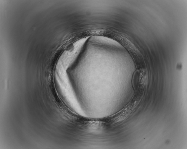 X0000097950363200804071011