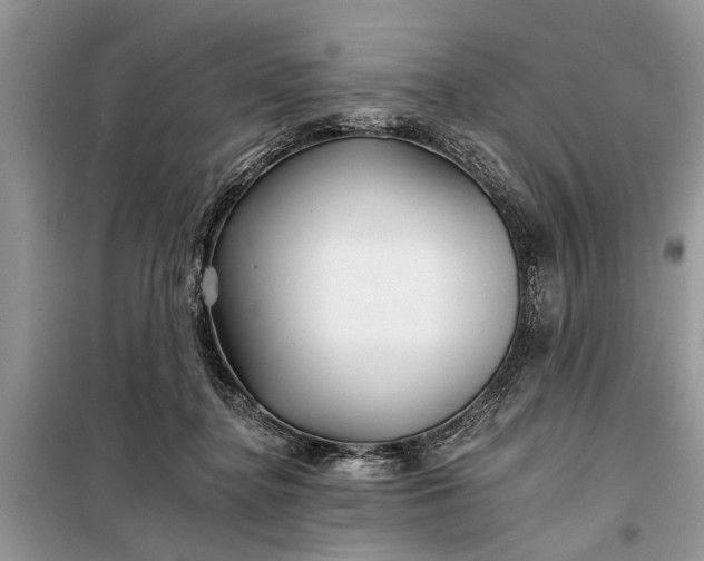X0000097950364200804071011