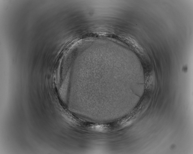 X0000097950365200804071011
