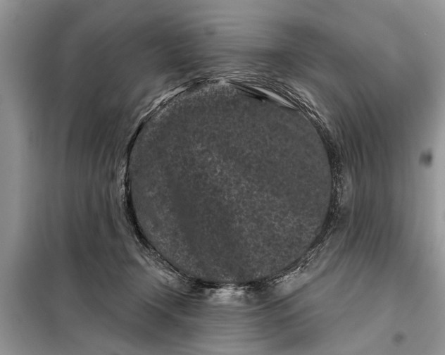 X0000097950366200804071011