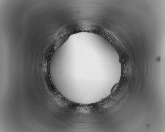 X0000097950368200804071011