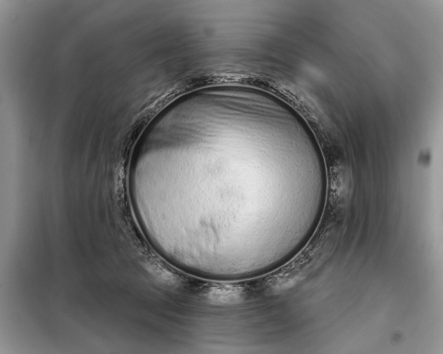 X0000097950369200804071011