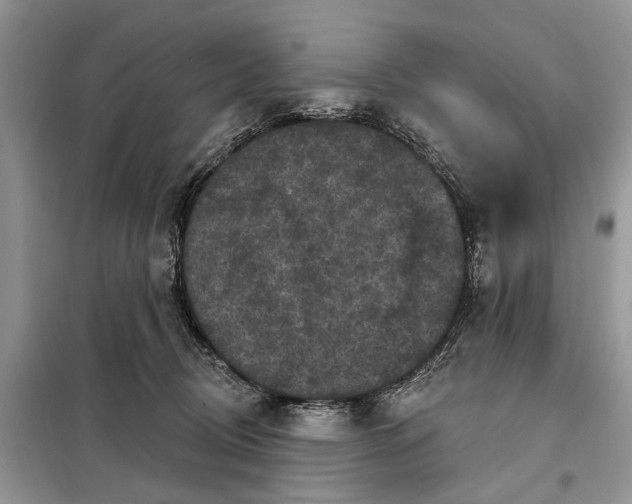 X0000097950370200804071011