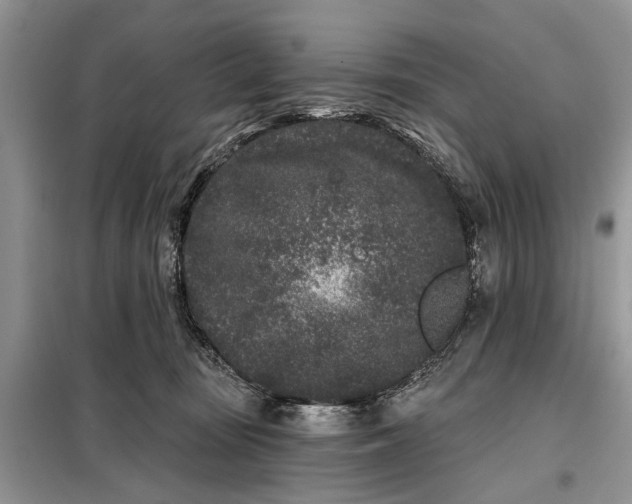 X0000097950371200804071011