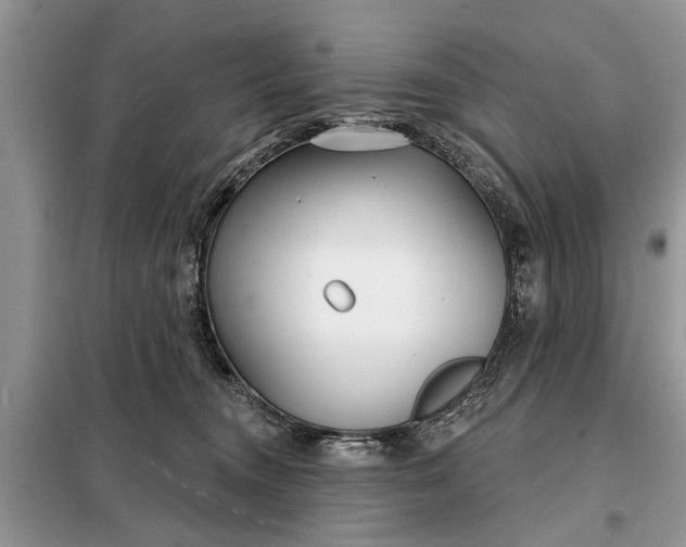 X0000097950372200804071011