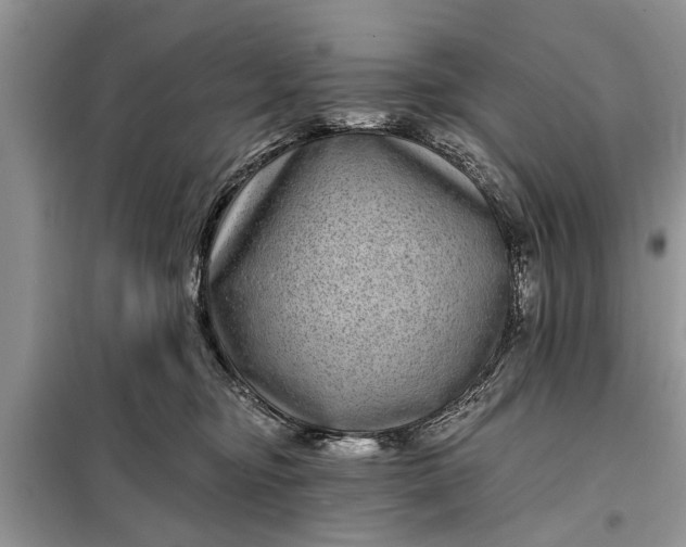 X0000097950374200804071011