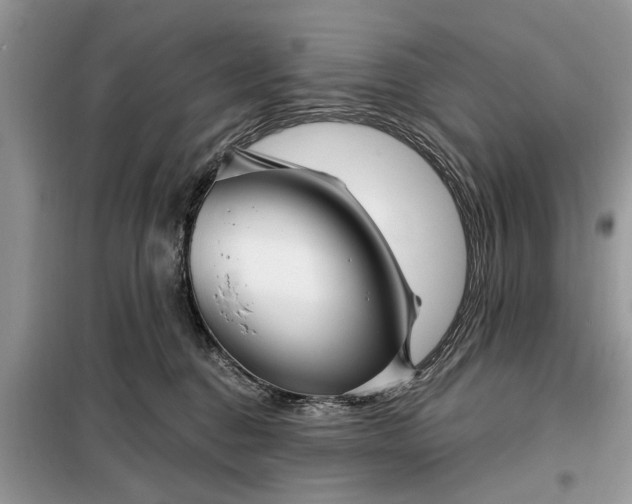X0000097950376200804071011