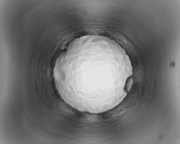X0000097950377200804071011