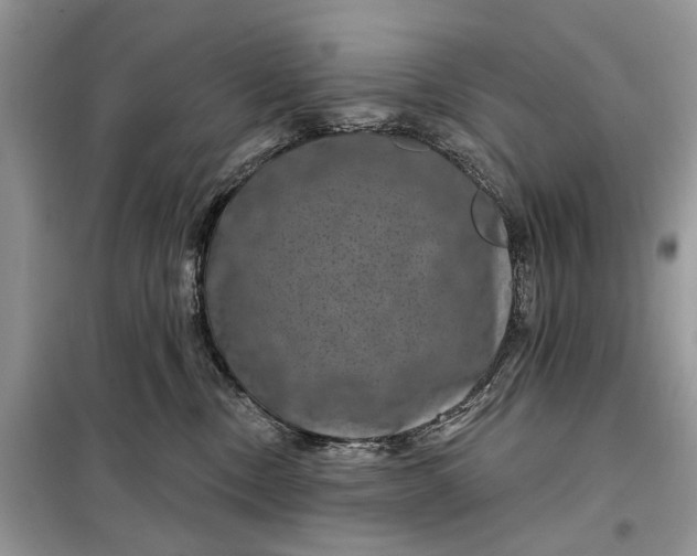 X0000097950378200804071011