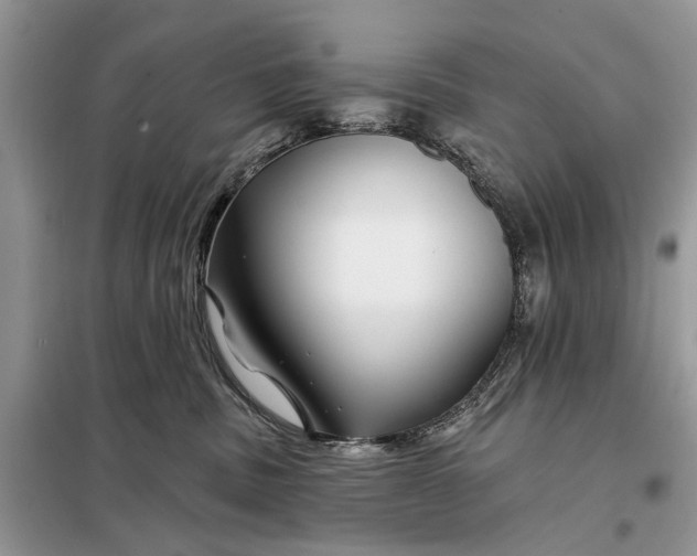 X0000097950379200804071011