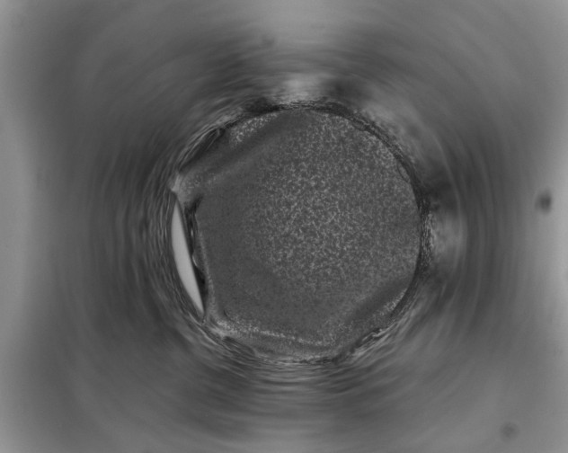 X0000097950380200804071011