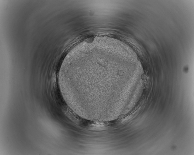X0000097950381200804071011