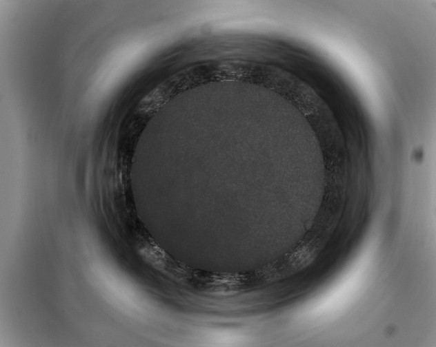 X0000097950382200804071011