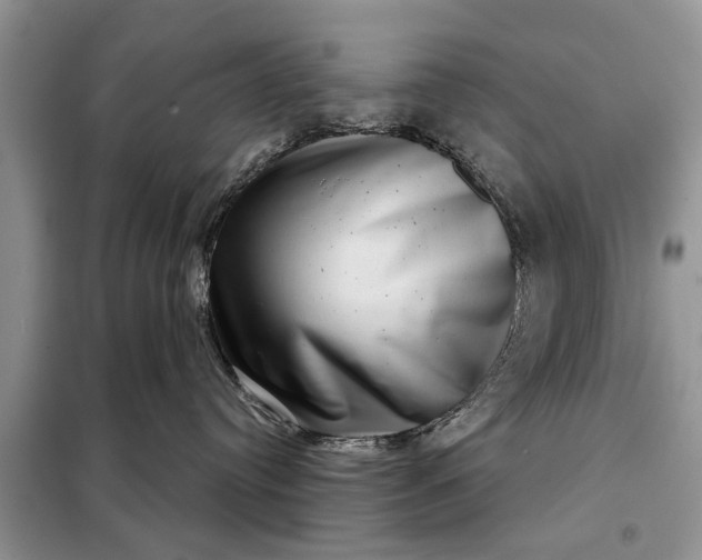 X0000097950384200804071011