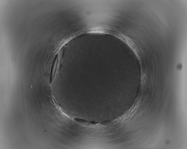 X0000097950385200804071010