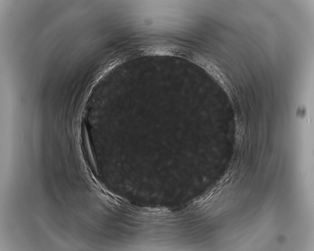 X0000097950386200804071010