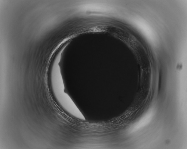 X0000097950387200804071010