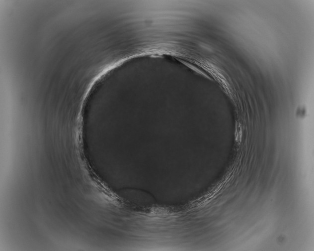 X0000097950388200804071010