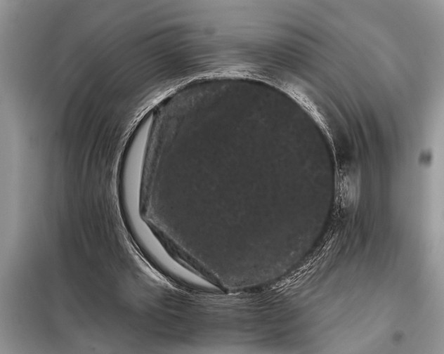 X0000097950389200804071010