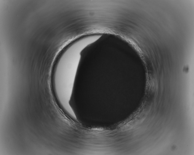 X0000097950391200804071010