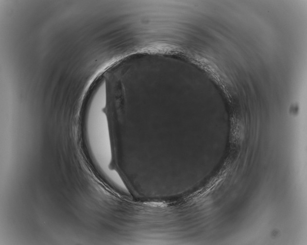 X0000097950392200804071010
