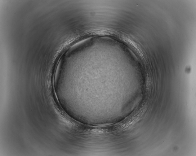 X0000097950394200804071010