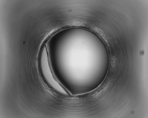 X0000097950395200804071010