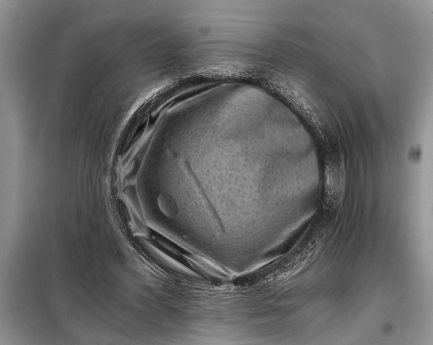 X0000097950396200804071010