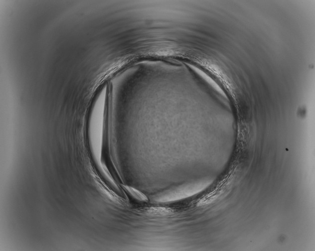 X0000097950397200804071010