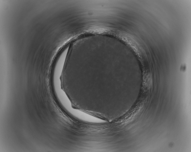X0000097950399200804071010