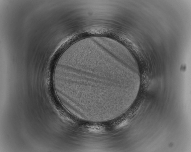 X0000097950400200804071010