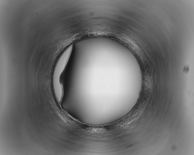 X0000097950401200804071010