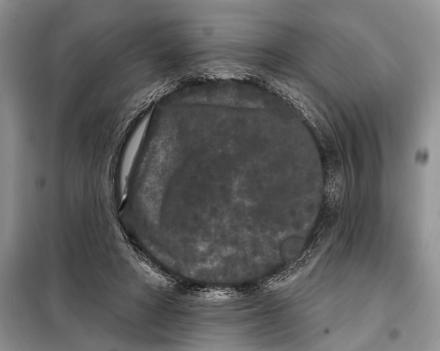 X0000097950402200804071010