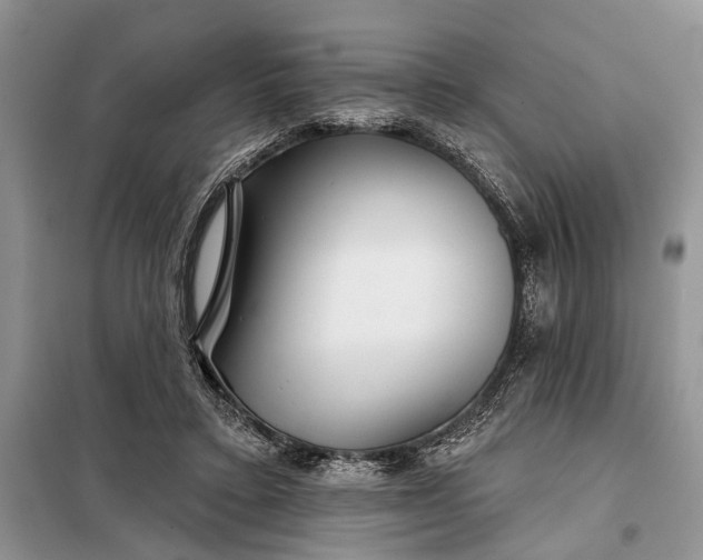 X0000097950403200804071010