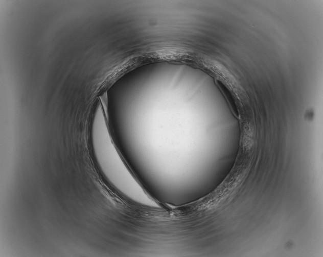 X0000097950405200804071010