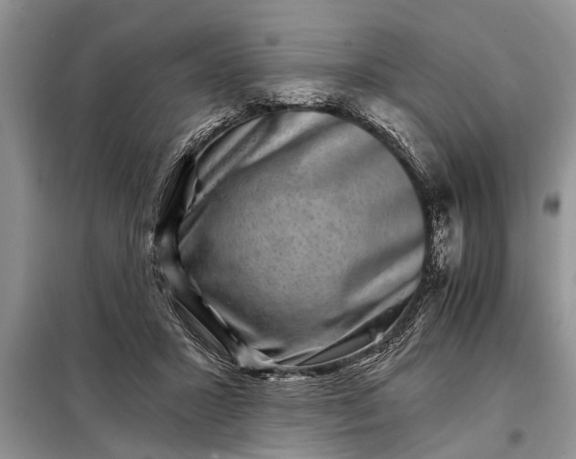 X0000097950407200804071010