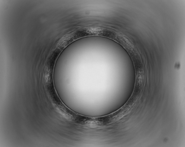 X0000097950408200804071010