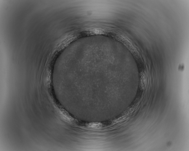 X0000097950410200804071010