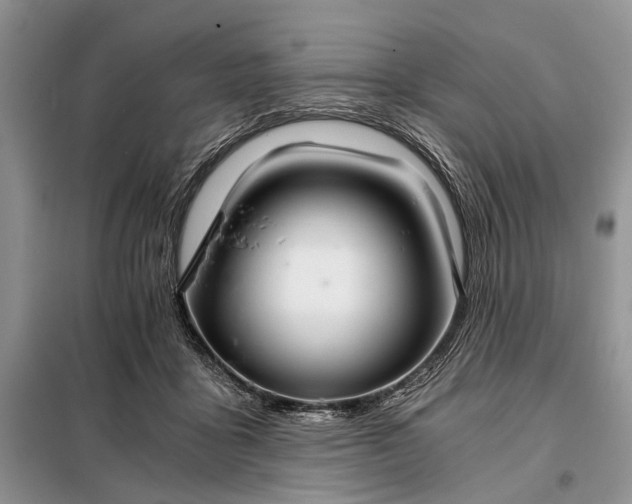 X0000097950411200804071010