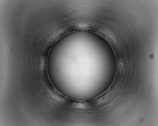 X0000097950412200804071010