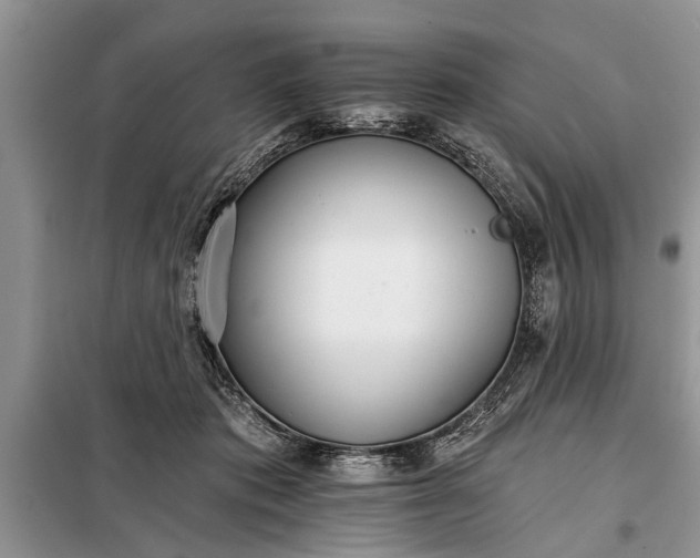 X0000097950413200804071010