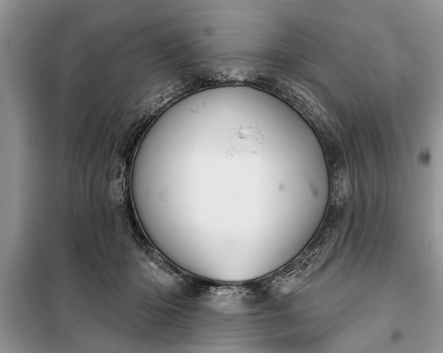 X0000097950414200804071010