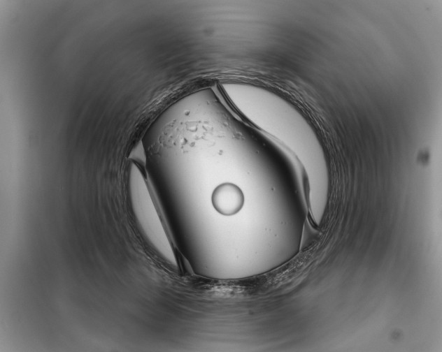 X0000097950415200804071010