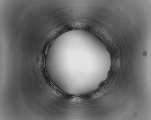 X0000097950416200804071010
